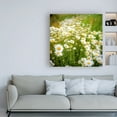 thumbnail image 3 of Trademark Fine Art 'Daisies In Field' Canvas Art by Dan Ballard, 3 of 3