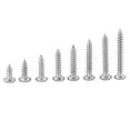 thumbnail image 1 of Selftapping Screws,Stainless Steel 304 Self Wood Screw Woodworking Accessory Extended Durability, 1 of 6