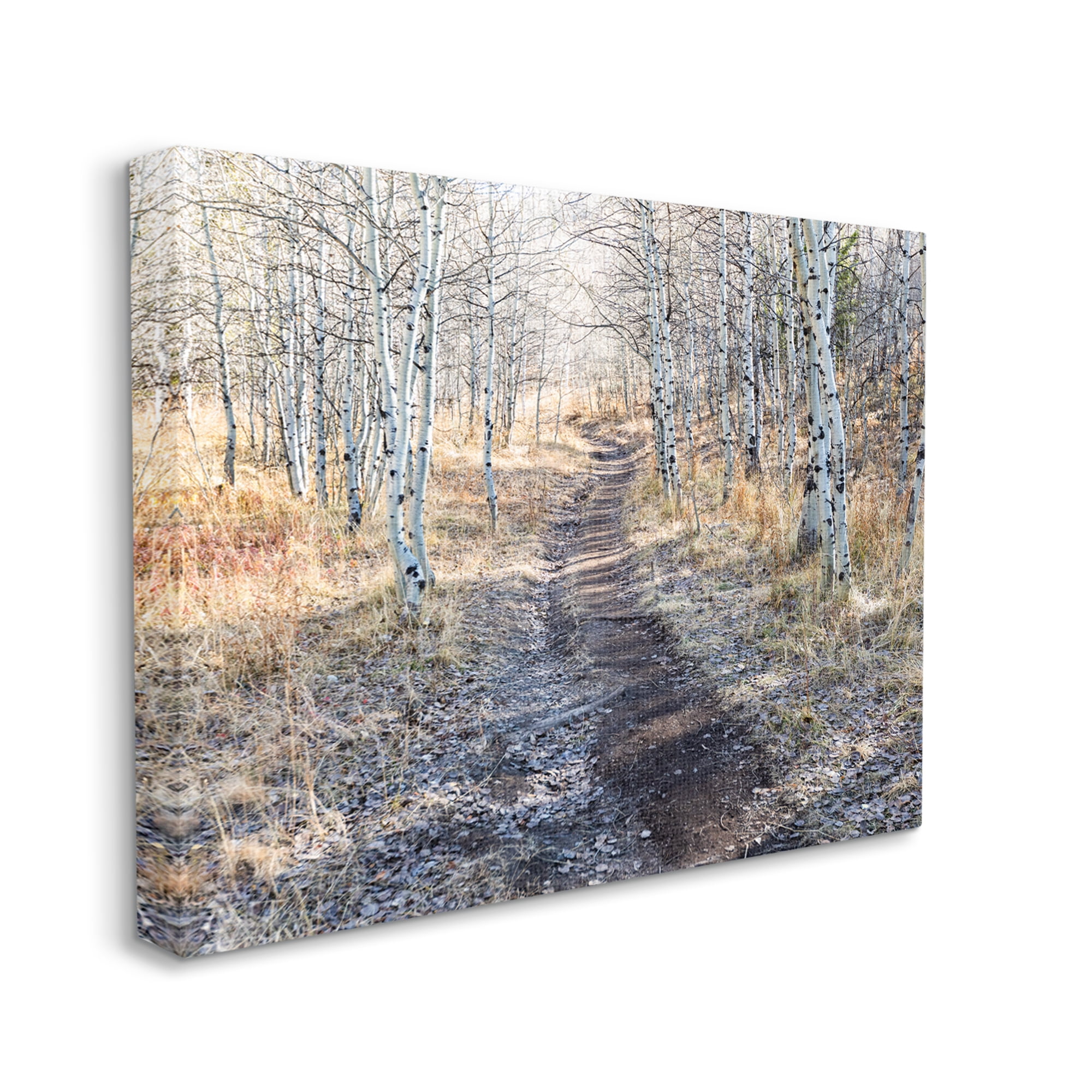 Stupell Industries Dirt Path Between Birch Tree Forest Woodland Scene Photograph Gallery Wrapped Canvas Print Wall Art, Design by Steve Smith