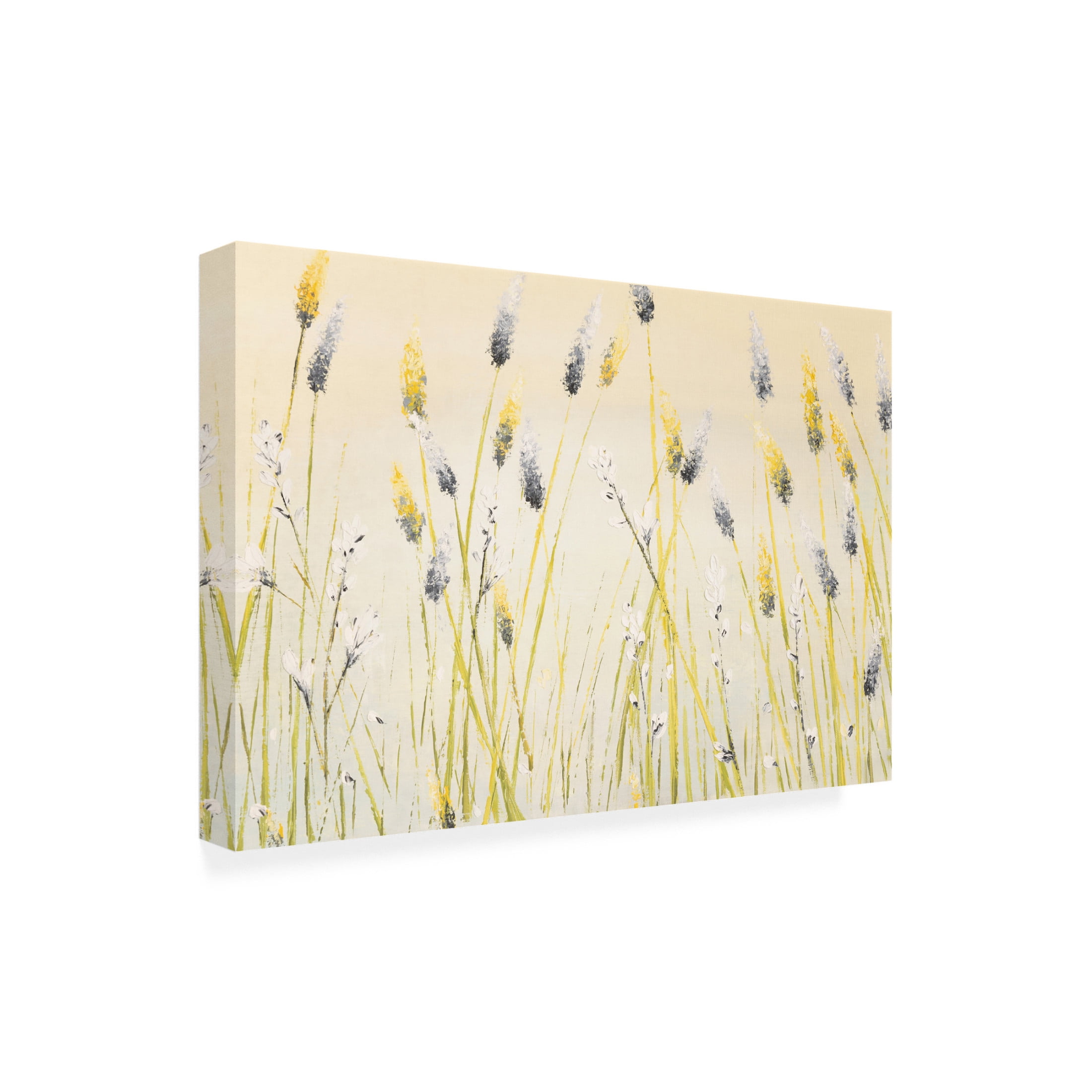 Canvas Wall Art - Emma Coghlan 'Bugbane Field' Wall Art for Living Room, Bedroom, or Office Décor by Trademark Fine Art - 47 x 30 Inches