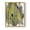 Gold, variant on Loft Pastel I Framed Print in Black Solid Wood Framed Print No Nail Hanging
