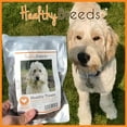 thumbnail image 5 of Healthy Breeds Great Pyrenees Healthy Treats Premium Protein Bites Chicken Dog Treats 10 oz, 5 of 6