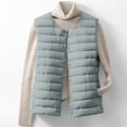 thumbnail image 3 of Idoravan Womens Outwear Warm Vest Womens Outwear Vest Fashion Women Winter Warm Wadded Style Down Coat Tank Siolid Tops Jacket Women Clothes Womens Vest, 3 of 9
