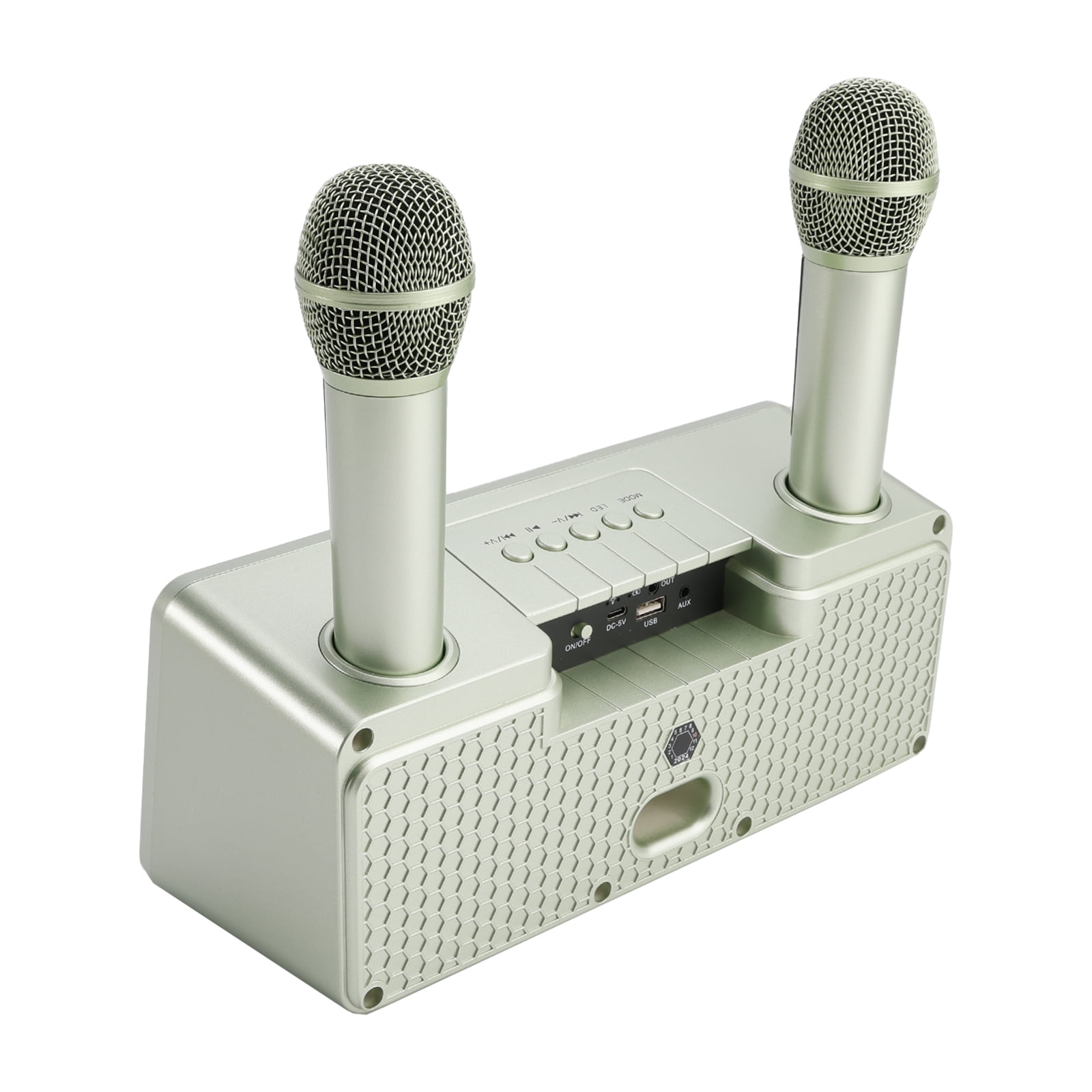 Wireless Bluetooth Dual Microphone Karaoke All-In-One Speaker for Home Outdoor