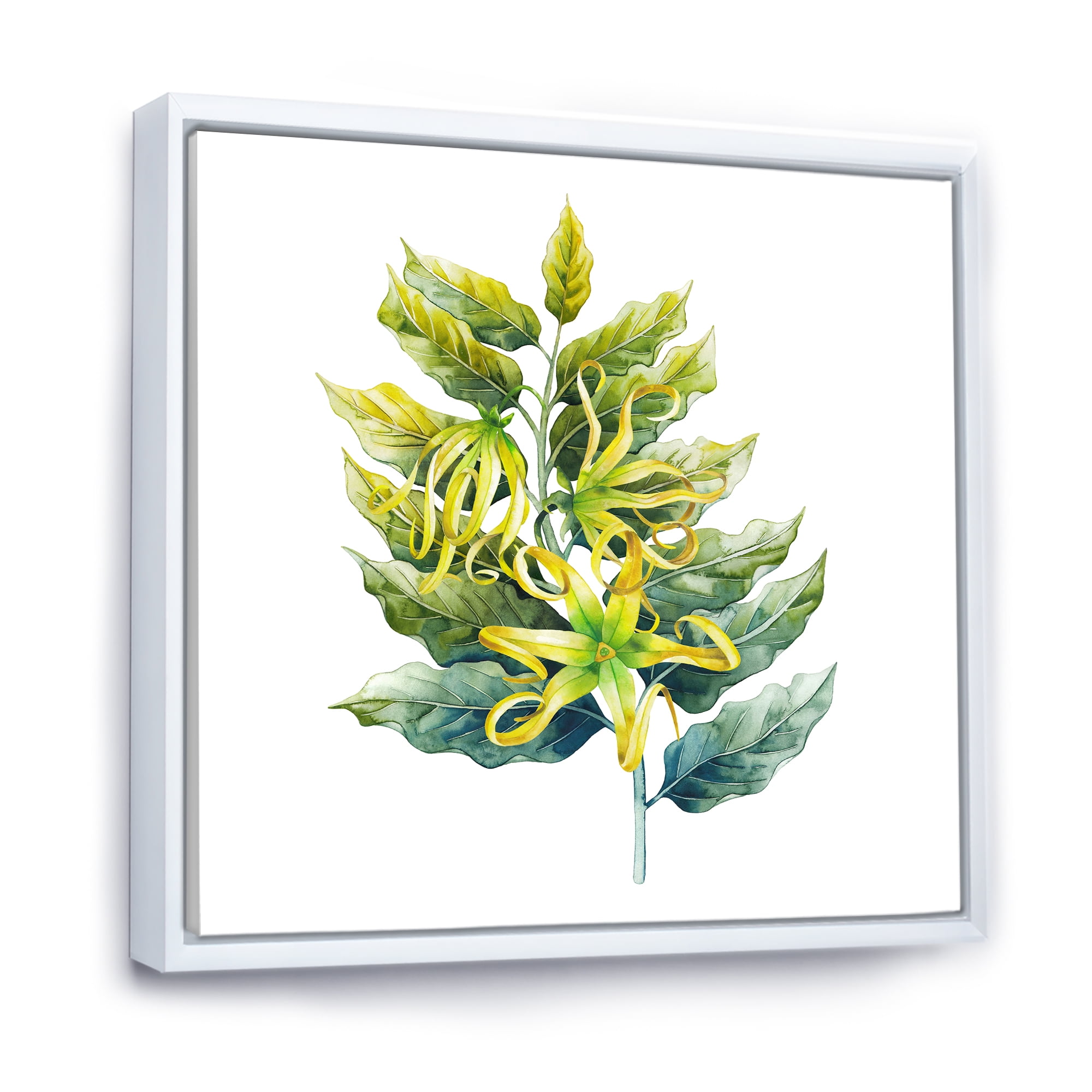 Designart 'Ylang Ylang Flower On White' Traditional Framed Canvas Wall Art Print