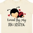 thumbnail image 4 of Inktastic Little Sister Ladybug Girls Toddler T-Shirt, 4 of 5
