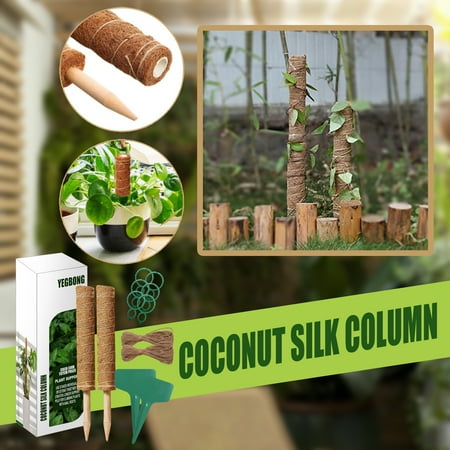 

Potted Plant Support Frame Plant Stand Garden Basket Type Plant Fixed Climbing