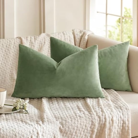 Eryueer Velvet Soft Soild Microfiber Decorative Square Pillow Case Throw Cushion Cover for Sofa Bedroom with Invisible Zipper 12x20 Inch 30x50cm Pea Green Set of 2 Lined
