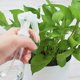 thumbnail image 2 of Spray bottle, fine empty mist spray bottle for cleaning beauty care garden, 2 of 4