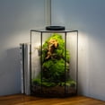thumbnail image 2 of NCYP Geometric Large Glass Terrarium with Door, for Plants, Moss Wall Landscapes 6.1" x 6.1" x 11.8" (Terrarium Only), 2 of 9