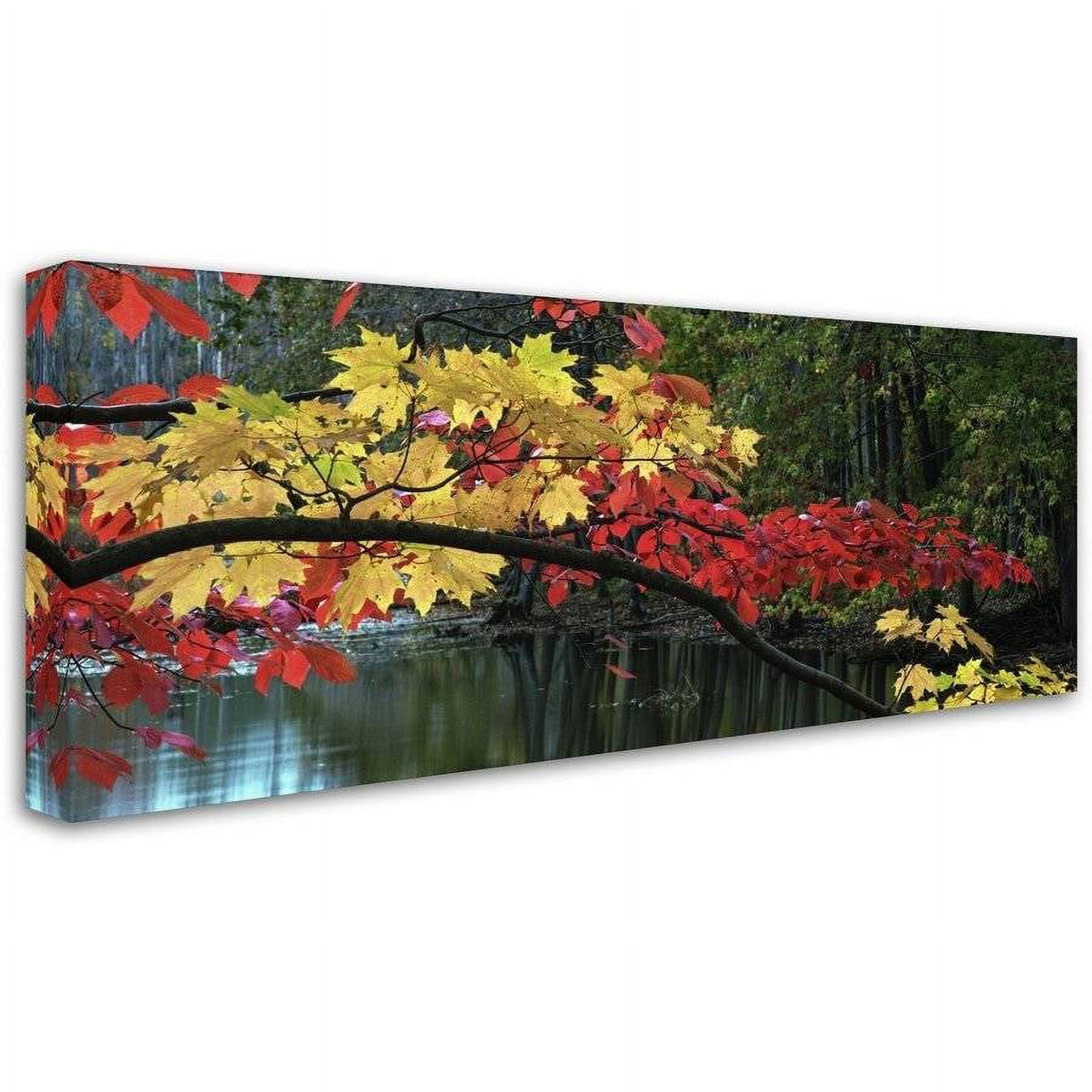"Autumn Red and Gold" Canvas Art by Kurt Shaffer