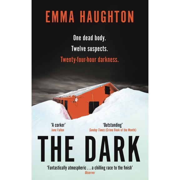 The Dark (Paperback)