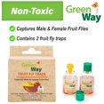 thumbnail image 5 of GreenWay Traps GW104 Fruit Fly Trap, 5 of 6