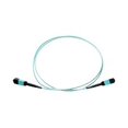 thumbnail image 1 of Axiom AX - Câble Réseau - MPO Multimode (m) vers MPO Multimode (m) - 12 m - Fibre Optique - 50 / 125 micron - OM3 - riser - aqua, 1 of 6