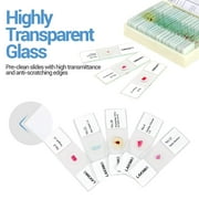 BEBANG 30 Microscope Slides with Specimens for Kids, Prepared Microscope Slides for Kids Microbiology, Glass Slides for Microscope, Biology Gifts for Adults Kids