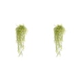 thumbnail image 1 of Matsuzay Fondo de pared artificial Flores colgantes Planta Vid falsa Cumpleaños Balcón Decoración Regalos de inauguración Suministro para oficina Type1 NO1 Matsuzay CBP487886, 1 of 6