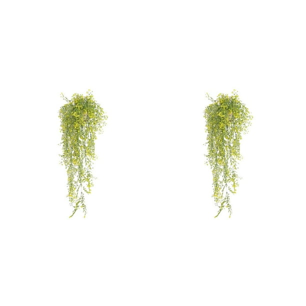 Cateissary Fondo de pared artificial Flores colgantes Planta Vid falsa Cumpleaños Balcón Decoración Regalos de inauguración Suministro para oficina Type1 NO1 Cateissary CBP487886