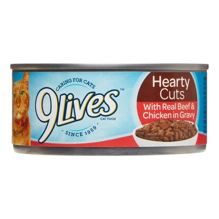 Big heart brands dog food hot sale