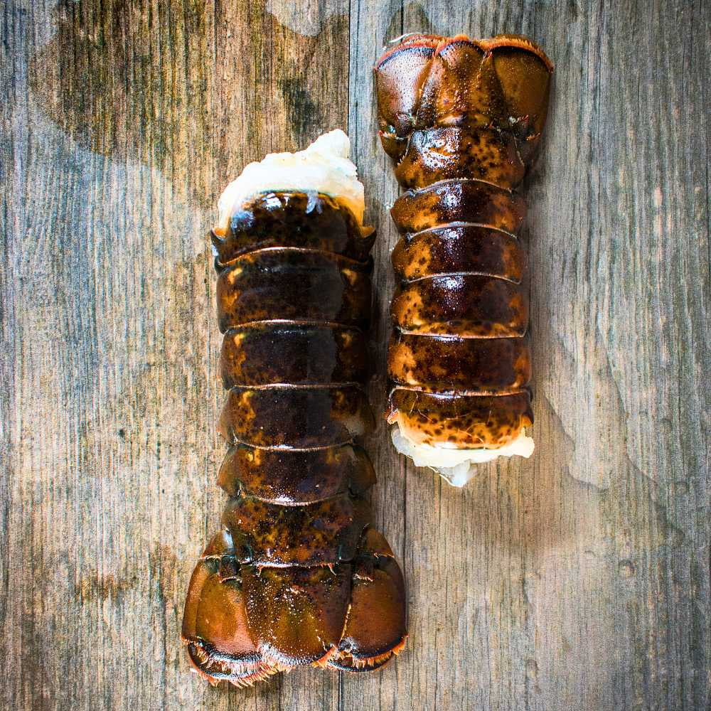 Today Gourmet Lobster Tails - 14oz.-16oz. - (2 Tails)