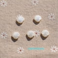 thumbnail image 3 of Cuentas sueltas en forma de concha acrílica de Color Beige, perlas lindas, espaciador pequeño, fabricación de joyas DIY, pulsera, accesorios trenzados, 3 of 4