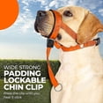 thumbnail image 5 of Cabestro para perro con correa de seguridad, collar para perro con correa reflectante, collar antitirones, arnés de entrenamiento ajustable para perros, 5 of 5