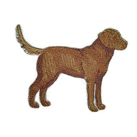 Custom Chesapeake Bay Retriever Embroidery Iron On/Sew patch [5" x 3.9"]