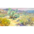 thumbnail image 2 of Stevens, Allayn 32x19 Black Ornate Wood Framed with Double Matting Museum Art Print Titled - Desert Garden, 2 of 4
