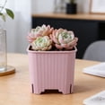 thumbnail image 1 of Succulents Planter, Colorful Square Porous Breathable Mini Gardening Pot, 1-Pack, 1 of 6