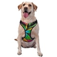 thumbnail image 1 of Kdxio Multicolored Beautiful Flower Print No Pull Dog Harness Adjustable Reflective Oxford Easy Control Medium Large Dog Harness for Training and Everyday-Small, 1 of 6