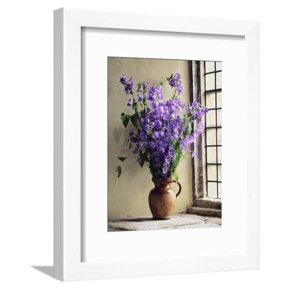 Canterbury Bells, Botanical Framed Art Print Wall Art by Clay Perry Sold by Art.Com