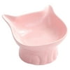 Cat Food Bowl Ceramic Elevated Tilting Cute Pet Feeding Bowl Kitten Water Dish