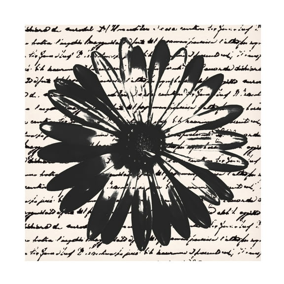 Trademark Fine Art Alonzo Saunders  Inky Floral II Canvas Wall Art