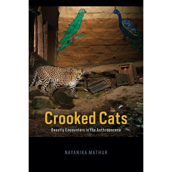 Animal Lives: Crooked Cats : Beastly Encounters in the Anthropocene (Edition 1) (Hardcover)