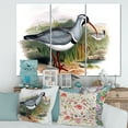 thumbnail image 2 of Designart ' Vintage Countryside Birds In Wild ' Farmhouse Canvas Wall Art Print, 2 of 3
