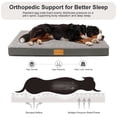 thumbnail image 3 of Exclusivo Mezcla Large Dog Bed with Removable and Washable Cover 48"x30", Orthopedic Pet Bed for Crates, Non-Slip Bottom and Waterproof Liner, Grey, 3 of 10