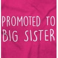 thumbnail image 2 of Promoted Big Sister Expecting Sibling Bodysuit Jumper Girls Infant Baby Brisco Brands NB, 2 of 6