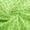 Light Mint Green, variant on Erosebridal Frog Motif Fabric by the Yard 1 Yard Amphibian Print Home Decor Fabric by the Yard, White