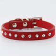 thumbnail image 2 of Brillantes diamantes de imitación collares para perros arneses o correas - collar ajustable cachorro y otras mascotas, 6 colores, XS/S/M disponible jinwen Mascotas Cuello Cuello XS, 2 of 6