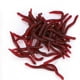 thumbnail image 3 of Fishing Lure 4cm Soft Insects False Earthworm Sea Bait Bloodworm Lures Artificial Baits 200Pcs, 3 of 4