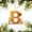 B, variant on 1Pcs Acrylic Letter T Honeycomb Ornament 3.15in, Bee Hive Alphabet Hanging Decor with Golden String for Home Wall Window Decoration, Sweet Honey Bee Pendant Gift (8cm)
