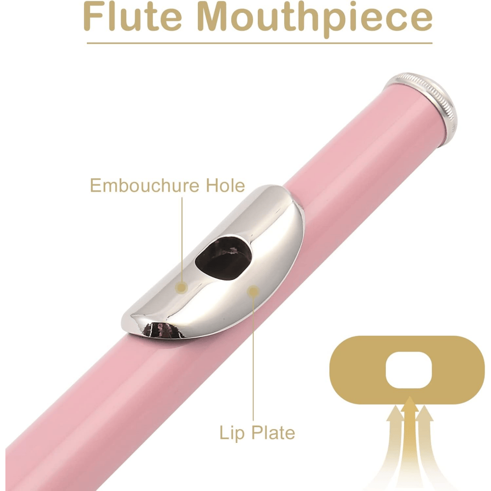 Tcbosik Holes Concert C Flute with Case, Cloth, Screwdriver, Lubricant and Cleaning Rod, Beginner Musical Instrument, Pink