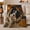 Cozy Border Collie, variant on Adorable Border Collie Dog Wrapped Chunky Knit, Festive Pet Portrait Pattern, Warm Flannel Blanket for Living Room and Bedroom, Dog Lovers Just Because Gift, Pet Lover Home Decor