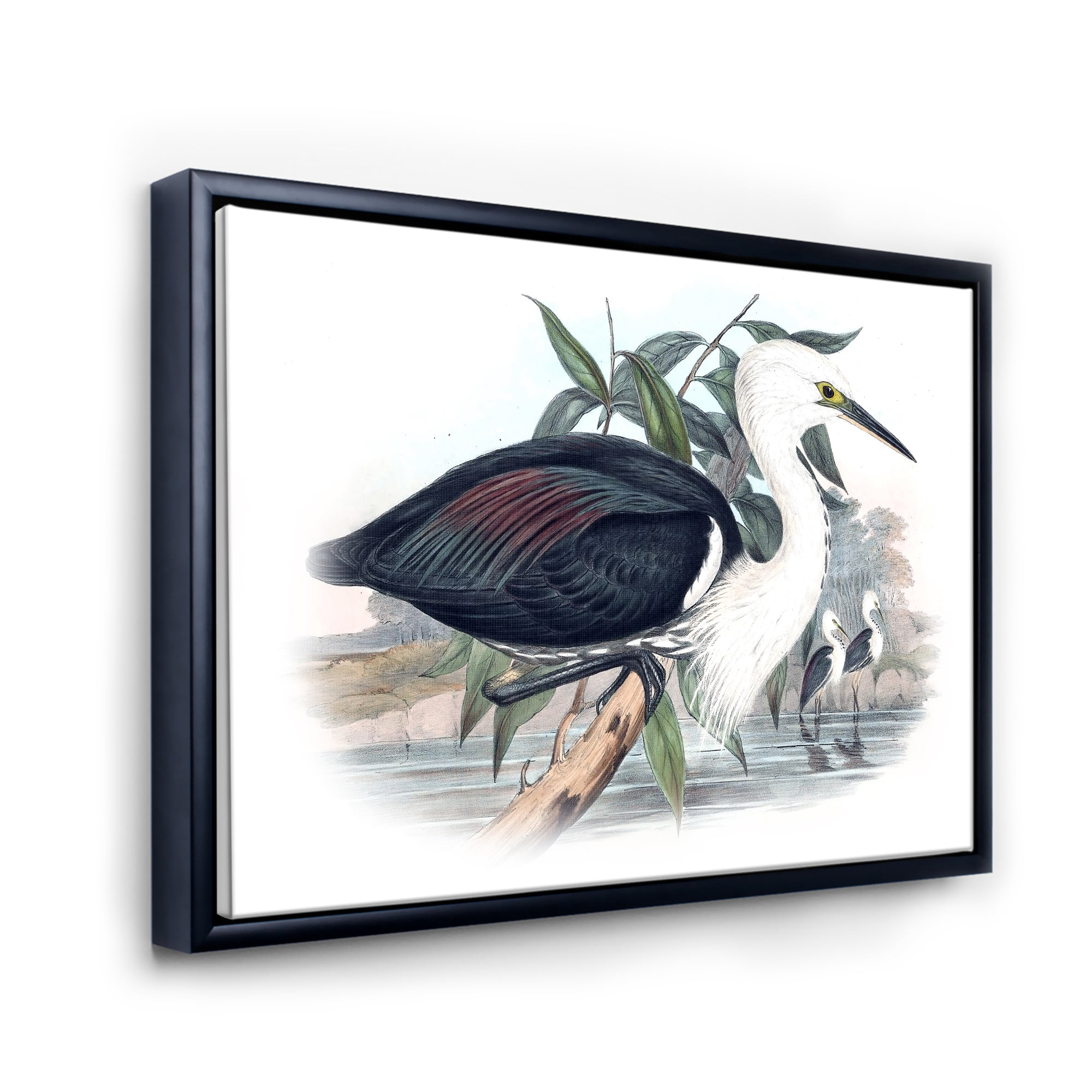 Ancient Birds Of Australia 20 in x 12 in Framed Painting Canvas Art Print, by Designart