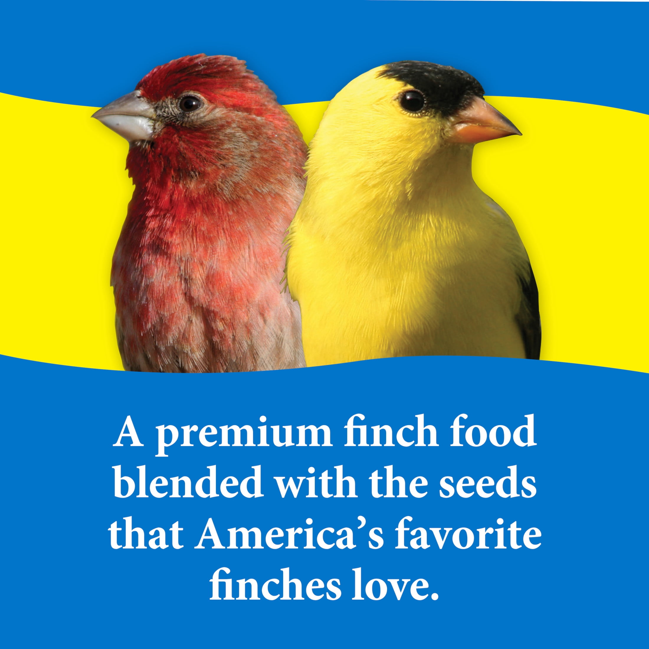 (5 pack) 3-D Pet Products Finch Food Finch Lovers Mix Dry Wild Bird Food, Seeds 5 lb. Bag, 1 Pack