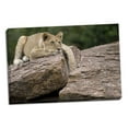 thumbnail image 2 of Gango Home Decor Lounging by Susann Parker (Ready to Hang); One 36x24in Hand-Stretched Canvas, 2 of 4