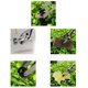 thumbnail image 5 of Scienceny Herramienta de alcance de basura, recolector de mano telescópico, pinza plegable larga, pinza de saneamiento de suelo de punto Artesanía, 5 of 6