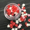 thumbnail image 3 of UDIYO Polymer Clay 3D Nail Art Fruit Slice Flower Petal Love Heart DIY Decoration, 3 of 7