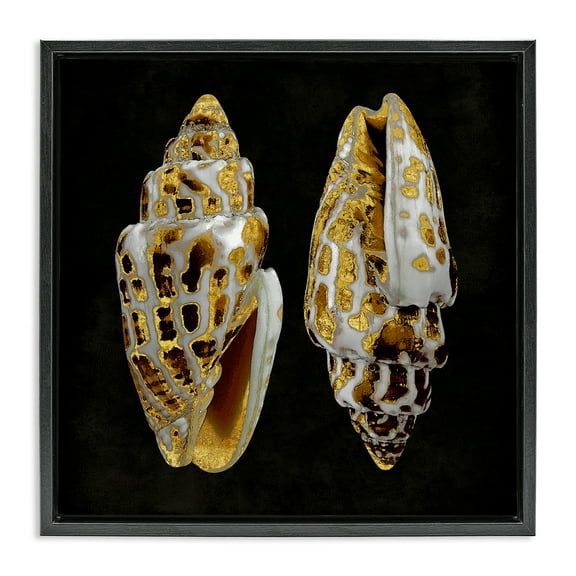 Stupell Industries Spotted Cowrie Shells Nautical & Beach Painting Black Floater Framed Canvas Art Print Wall Art, 18 x 18