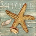 thumbnail image 2 of Paton, Julie 26x26 White Modern Wood Framed Museum Art Print Titled - Beach Shells Starfish, 2 of 4