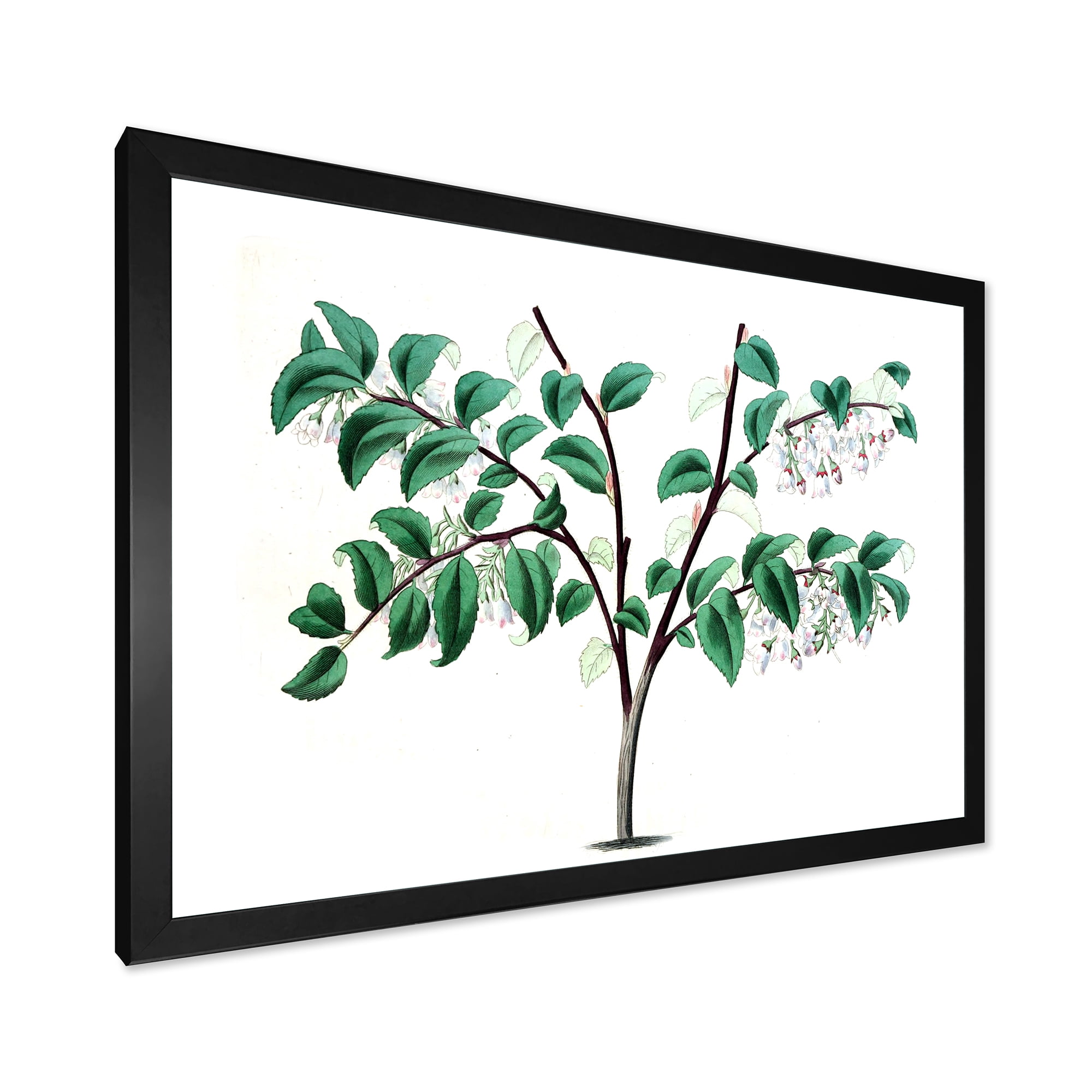 Designart 'Ancient Green Leaves Plants I' Traditional Framed Art Print